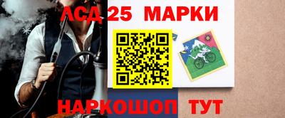 мяу мяу мука Кандалакша