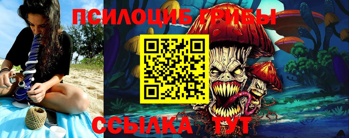 Псилоцибиновые грибы прущие грибы  Вход с VPN  Лесосибирск 